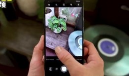 一加最近爆料新闻视频